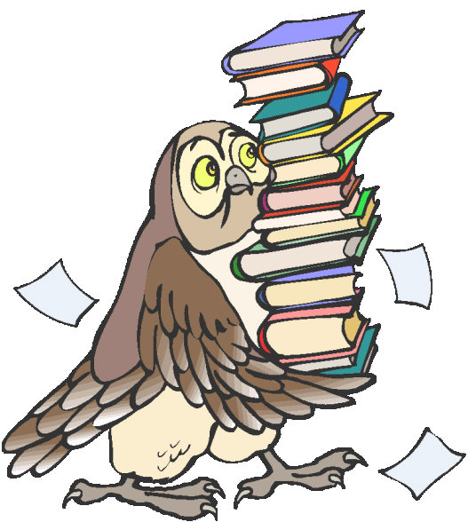 Owl Reading